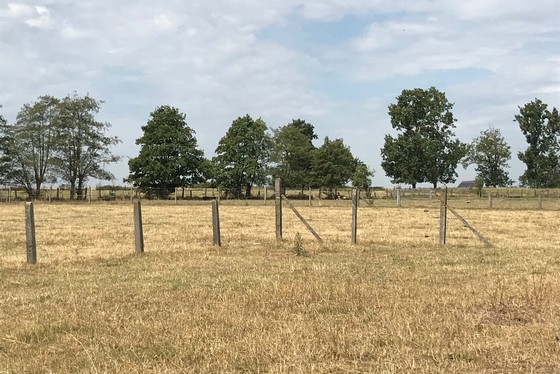 LAATSTE LOT voor het bouwen van een open bebouwing! Gelegen in het midden van de velden, prachtig gelegen bouwgrond van 1281 m². 