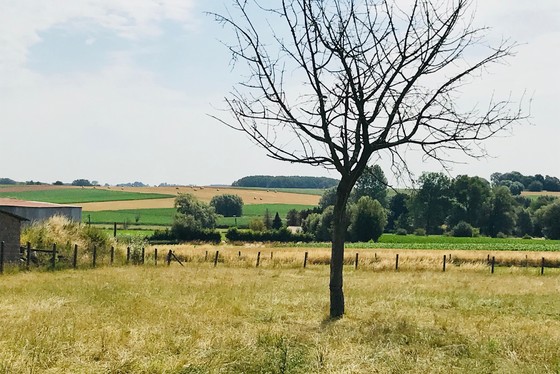 Prachtig gelegen bouwgrond met panoramisch zicht op velden en weiden. Zeer rustig straatje. Twee half open bebouwing