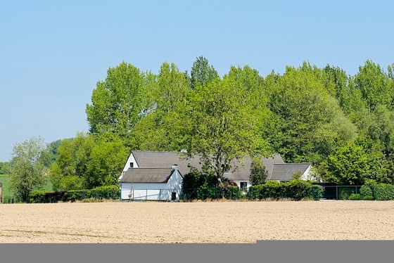 Gelegen in het hartje van de Vlaamse Ardennen bevindt zicht dit pas gerenoveerd landhuis op 1,4ha.