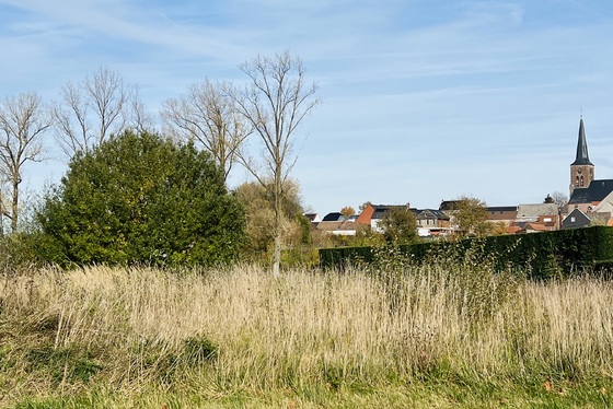 Mooie bouwgrond van 11a92ca voor open bebouwing, met een straatbreedte van 20,80 meter en landelijk uitzicht op de dorpskerk. Maakt deel uit van een goedgekeurde niet vervallen verkaveling.