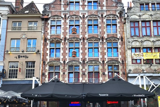 GERENOVEERD APPARTEMENT IN 2020 MET 1 SLAAPKAMER EN TERRAS, in het centrum van de Stad Gent.