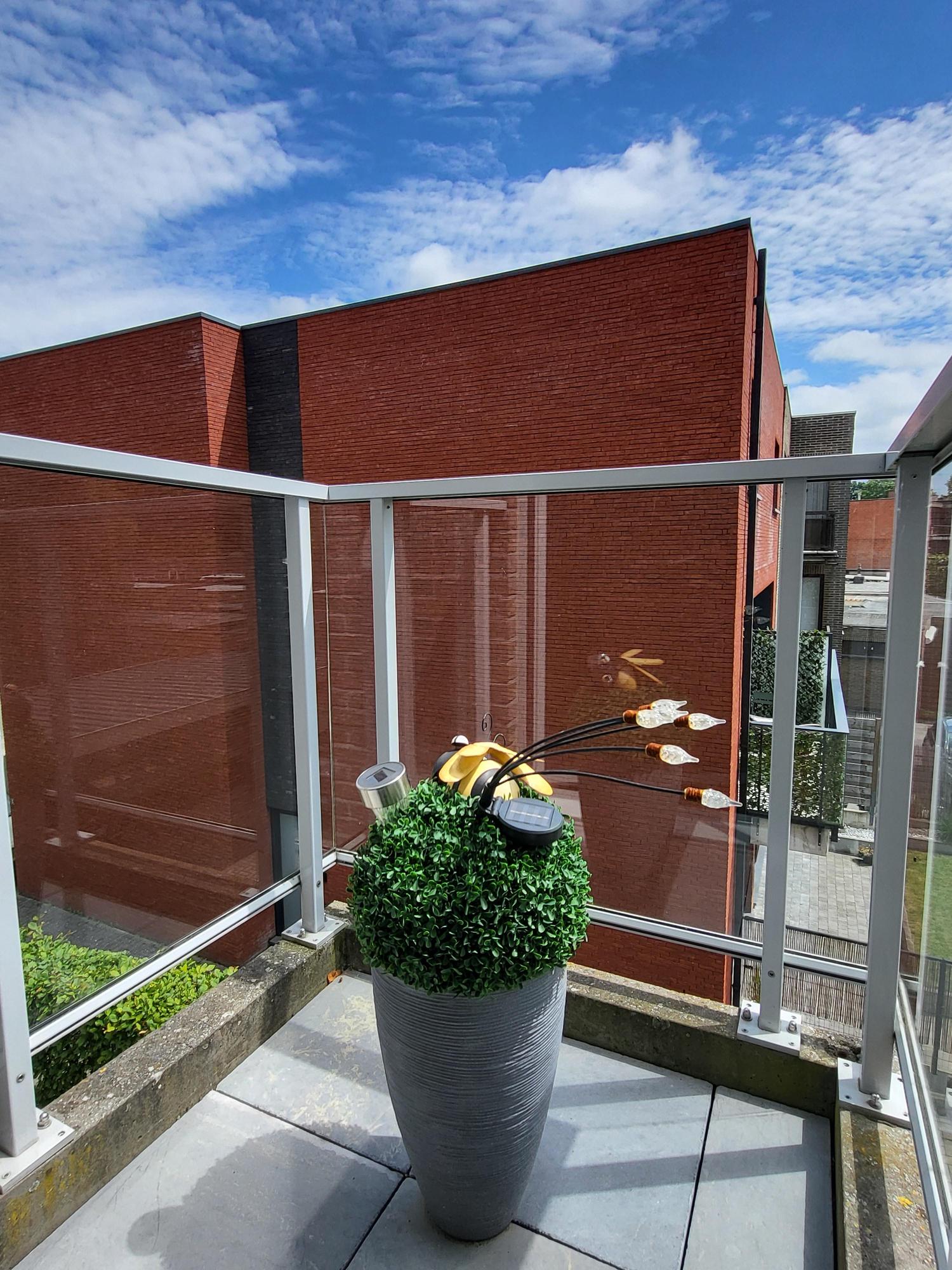 3723_66461.jpg