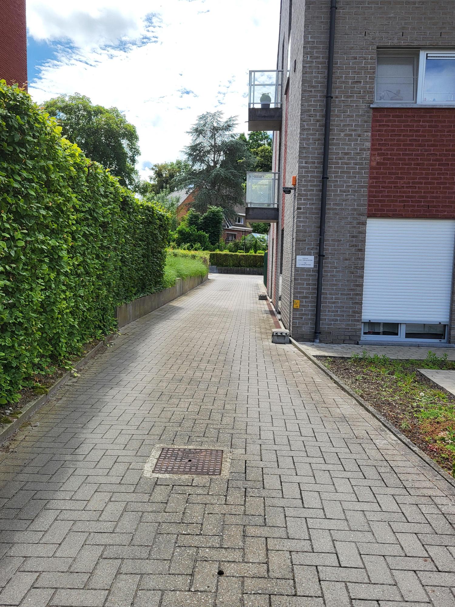 3723_66475.jpg