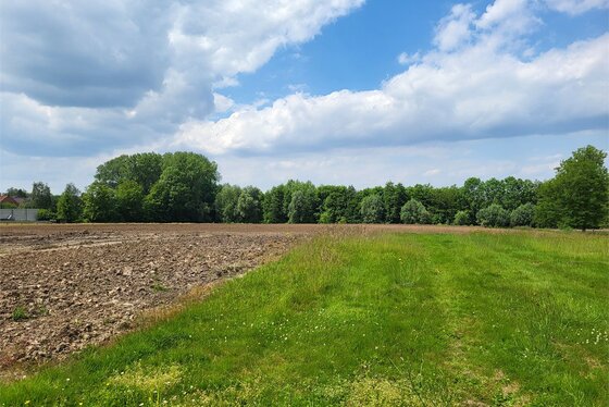 bouwgrond voor halfopen bebouwing op 435 gelegen in het hartje van de Vlaamse Ardennen met panoramisch uitzicht op de velden!