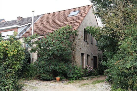 Charmante halfopen bebouwing op 2810m², ruime tuin met veel fruitbomen, terrassen en garage!