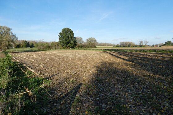 Rustig gelegen landbouwgrond van 5600m² groot aan de Zuurstraat.
