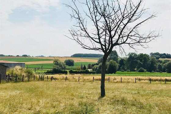 Prachtig gelegen bouwgrond met panoramisch zicht op velden en weiden. Zeer rustig straatje. Twee half open bebouwing