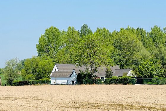 Gelegen in het hartje van de Vlaamse Ardennen bevindt zicht dit pas gerenoveerd landhuis op 1,4ha.