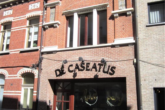 Prachtig gerenoveerde woning van 2002 met zuidgericht terras in het centrum van de stad.