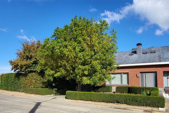 Charmante woning op 924m² met mooie aangelegde tuin en tuinhuis.